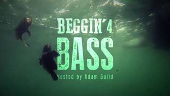 Beggin 4 Bass type in front of fish underwater