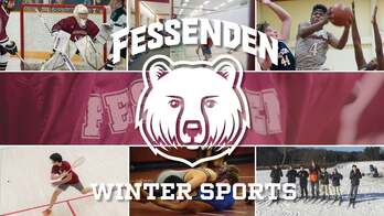 A mosaic of winter sports