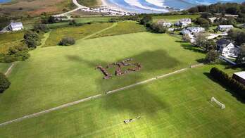 The shadow of a dragon over a field